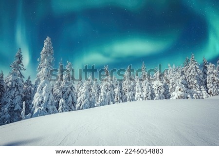 Aurora borealis over the frosty forest. Green northern lights above mountains. Night nature landscape with polar lights. Night winter landscape with aurora. Creative image. winter holiday concept. Royalty-Free Stock Photo #2246054883