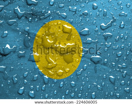 flag of Palau with rain drops