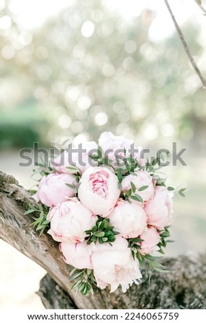 Pink peonies bridal bouquet in french olive tree