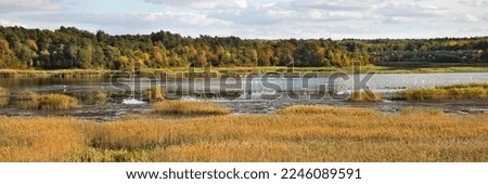 Autumn. Panoramic of autumn landscape on the lake eastern Europe. Nielisz lake