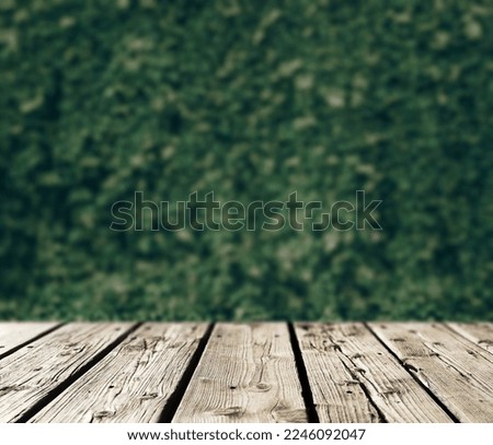  Spring wooden background with green leaves on the background. Copy space