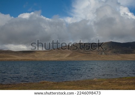 Andean seagull flying over lagoon in the Andes of Peru, with mountains and blue sky in the background (Yauricocha Lagoon, Junin). Concept of nature.