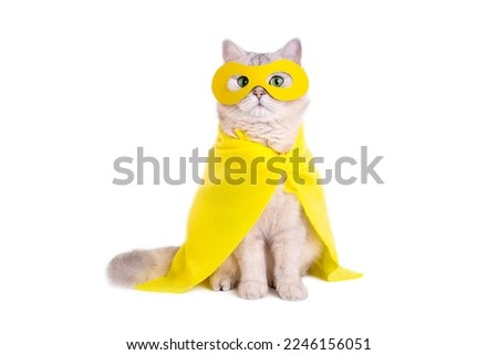 Beautiful white cat in a yellow mask and cape, sits on white background