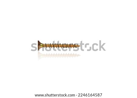macro screw of golden color on a white background close-up