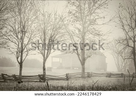 A black and white photo of a line of trees in fog, behind which is a less visible pioneer cabin in the Cades Cove section of the Great Smoky Mountains National Park.