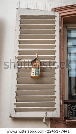 cute little insect shelter hanging on a louvered white shutter