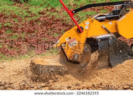 Stump Grinding A Tree Trunk - Close Up Royalty-Free Stock Photo #2246182193