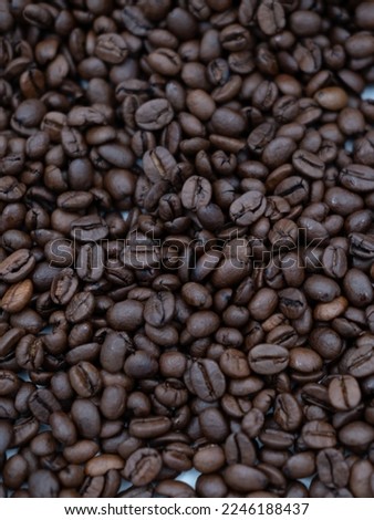 The Coffee Feeds Close Up Photography