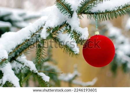 Red Christmas ball on spruce branch covered with snow