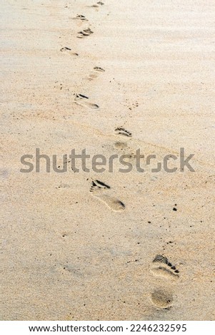 Footprint footprints on the beach sand by the water in Zicatela Puerto Escondido Oaxaca Mexico.