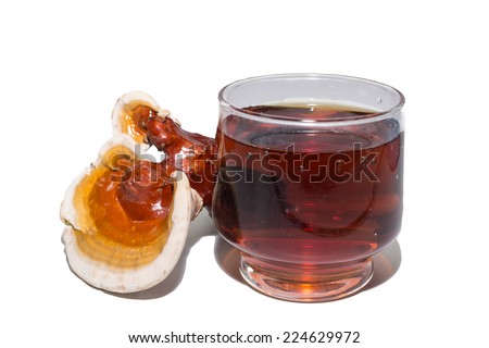 Ganoderma lucidum and tea cup Royalty-Free Stock Photo #224629972