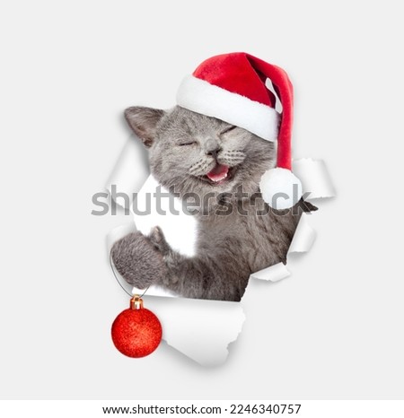 Smiling cat wearing red santa hat holding a Christmas tree toy and looking through a hole in white paper 