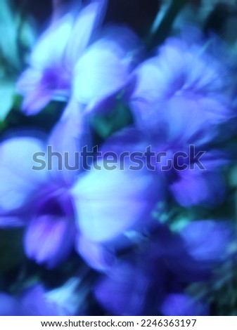 defocused abstract background of purple rose in night 