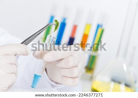 Scientist puts sample into test tube. Biochemistry laboratory analysis and experimentation. Closeup human hands in latex gloves holding test tube and tweezers. Biology researching and lab testing. Royalty-Free Stock Photo #2246377271