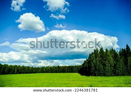 green field and blue sky, beautiful photo digital picture