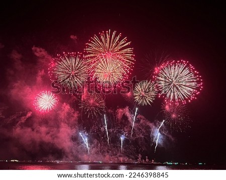 Firework at night with clear sky