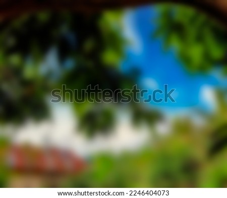 Blur nature background with leaves and blue sky