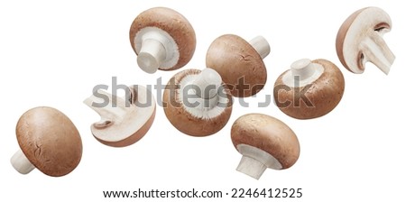 Flying champignon mushrooms, isolated on white background Royalty-Free Stock Photo #2246412525