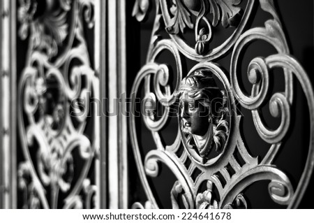 Decorative metal gate ornament. Antique iron door with classic ornaments. Royalty-Free Stock Photo #224641678