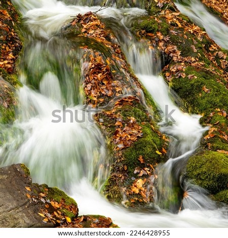 Long exposure waterfall in Smoky Mountain National Park during fall autumn with colorful leaves and silky smooth water. Cades Cove Tennessee