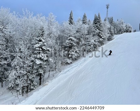 Unrecognizable person skiing downhill on slope in ski resort in Quebec, Canada. Row of pine trees covered in snow on a perfect winter day.  Royalty-Free Stock Photo #2246449709