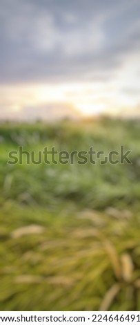 de focused abstract background of views
