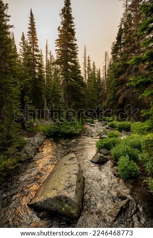 Golden Light Reflects Off Boulder Filled Stream in Rocky Mountain National Park