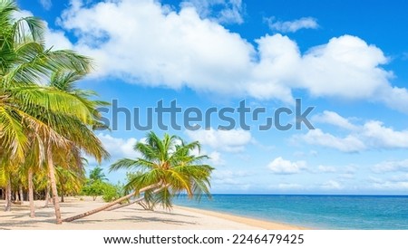 A tropical paradise idyllic beach on Sri Lanka's south coast at Mirissa. Royalty-Free Stock Photo #2246479425