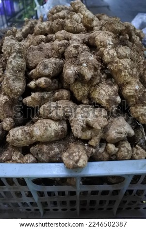 photo of ginger, one of indonesia's traditional spices that useful for herbal medicine, taken in pasar beringharjo, city of jogjakarta, indonesia