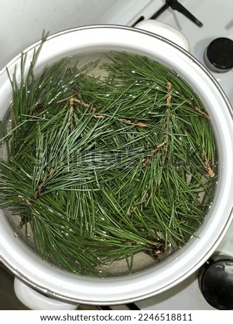 Prepare a drink from pine needles. Decoction of needles. Spruce shoots in a pot. Royalty-Free Stock Photo #2246518811