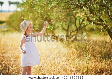 Adorable 4 year old girl in white dress and straw hat near olive tree in Provence, France