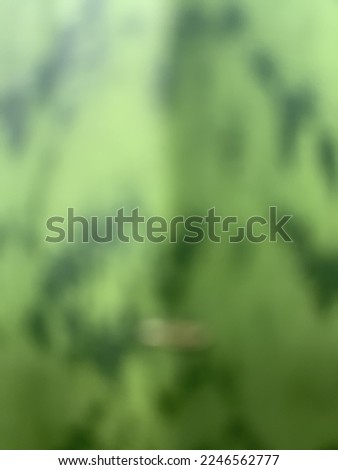Blur image of a leaf