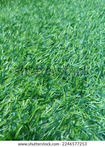 green synthetic grass that has a fresh abstract look.