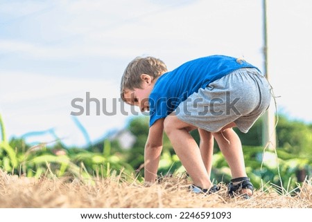 Boy blue t-shirt smile play climbs on down haystack bales of dry hay, clear sky sunny day. Outdoor kid children summer leisure activities. Concept happy childhood countryside, air close to nature