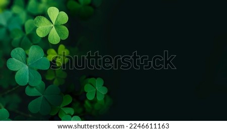Green clover leaf isolated on dark background. with three-leaved shamrocks. St. Patrick's day holiday symbol. Royalty-Free Stock Photo #2246611163