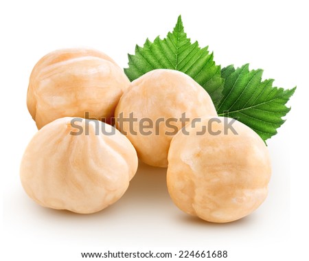 Hazelnuts with leaves isolated Clipping Pat 