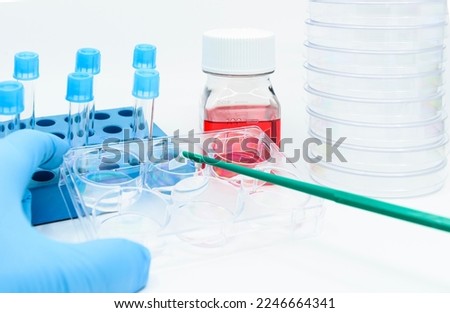 A scientist treats lysis buffer onto cultured cells in the 6 well plate and scraps cell by cell scraper Royalty-Free Stock Photo #2246664341