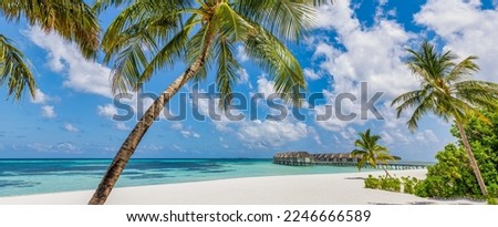 Paradise island beach. Tropical landscape of tranquil summer sea sand sky palm trees. Luxury travel vacation destination. Exotic beach landscape. Amazing nature, relax, freedom nature concept Maldives Royalty-Free Stock Photo #2246666589