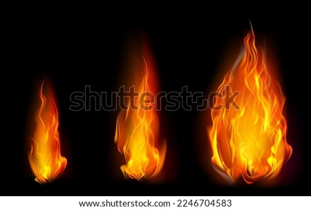 Fire PNG. Realistic Fire Flames set with smoke and sparkles transparent on dark background. Burning red wildfire flames set, burn bonfire silhouette and blazing fiery spurts of flame