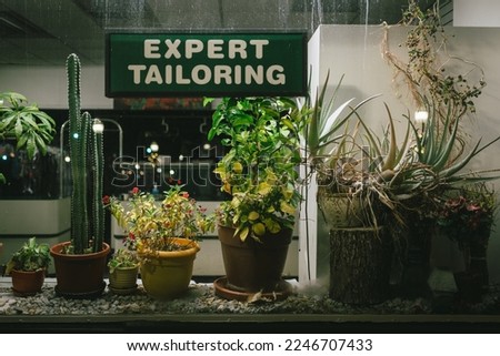 Expert Tailoring sign with plants, Cranford, New Jersey