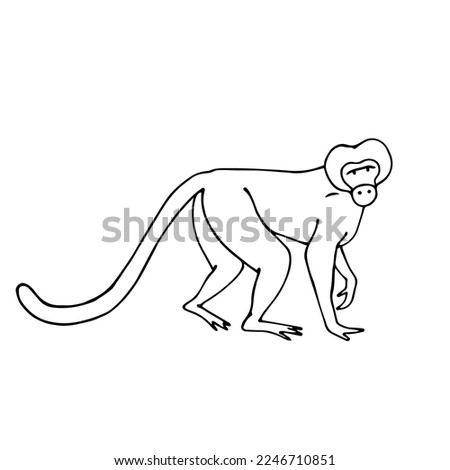 Linear sketch of a wild animal of the African savannah, monkey. Vector graphics.