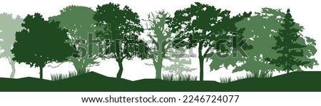 Forest, park, alley. Landscape of isolated trees. Silhouette vector