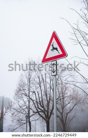 foggy winter morning - Beware of animals road sign