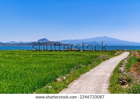 Blue Barley Field in Gapado and Mt. Halla in Jeju Island, South Korea.
Mt. Songak, Gunsan orum( Volcanic Cone), Brother island.