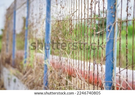 Selected Focus, Dried plants creeping on the old iron fence