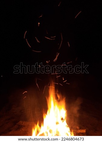 This picture of bonfire in winter.