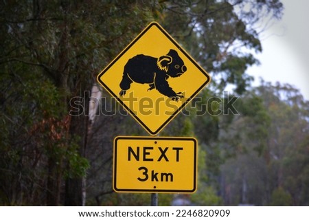 Road sign Koala in Australia Royalty-Free Stock Photo #2246820909