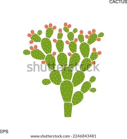 Prickly pear cactus. Isolated prickly pear on white background Royalty-Free Stock Photo #2246843481