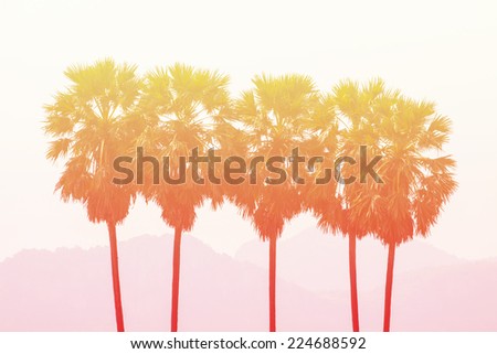 Asian Palmyra palm in pastel styles. Royalty-Free Stock Photo #224688592