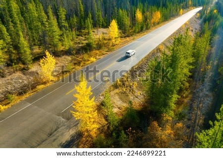 A drone view of a road in the middle of a forest. A car on the road. A straight road among the trees. Autumn forest. A straight highway. Autumn time. Royalty-Free Stock Photo #2246899221